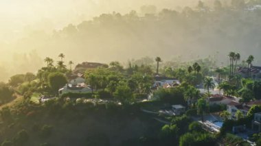 Los Angeles, California 'nın sakin ve pitoresk manzarasını sanatsal bir şekilde yansıtan hava manzarası yemyeşil, dolambaçlı yolları ve büyüleyici banliyölerini rüya gibi, puslu gökyüzü altında sergiliyor.