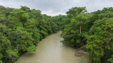 4K çözünürlüğündeki yoğun yağmur ormanları ve nehirleriyle Kosta Rika 'daki Corcovado Ulusal Parkı' nın çarpıcı manzaralarını deneyimleyin.