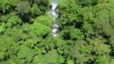 Kosta Rika 'daki bu şelalenin nefes kesici güzelliğini deneyimleyin yoğun yağmur ormanı, çarpıcı 4K çözünürlükte yakalanır.