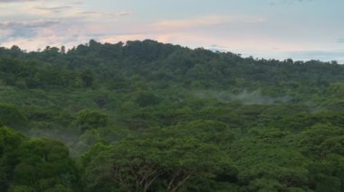 Kosta Rika 'daki Corcovado Ulusal Parkı' nın büyüleyici sisli ormanlarını keşfedin. Vahşi yaşam, canlı ekosistemler ve yemyeşil alanlarla dolu büyüleyici bir doğa harikası.