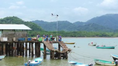 Kosta Rika 'nın çarpıcı kıyı şeridini çeken bir hava fotoğrafı, kristal berrak suları, yemyeşil dağları ve görkemli Kara Akbabaların manzaranın üzerinde süzülmelerini gösteriyor.