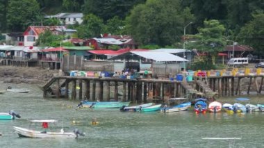 Bu hava fotoğrafı Kosta Rika 'nın canlı kıyı şeridini yakalar, sakin gök mavisi suları, renkli balıkçı tekneleri, ve sıcak kumlu sahilde Kara Akbabalar, pitoresk bir manzara yaratır.