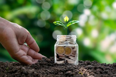 A small plant that grows from a bottle for putting coins on the ground. business growth and investment ideas.