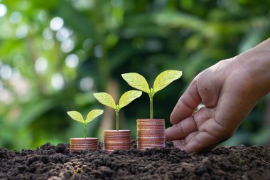 Economic growth with trees growing on coins stacked on fertile soil and blurred green nature background.