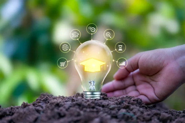 Light Bulbs Graduation Caps Planted Ground Learning Concepts Working Future — Stock Photo, Image