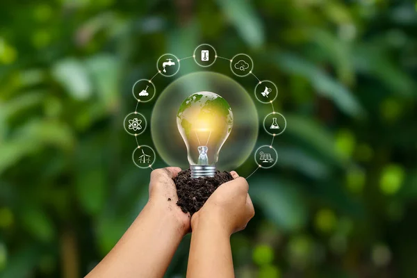Light Bulb Green World Map Symbol Human Hand Renewable Sustainable — Stock Photo, Image