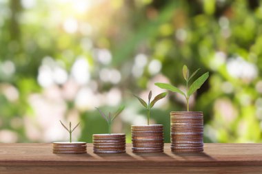 Bozuk paraların ve ağaçların üzerindeki bulanık yeşil arkaplan.