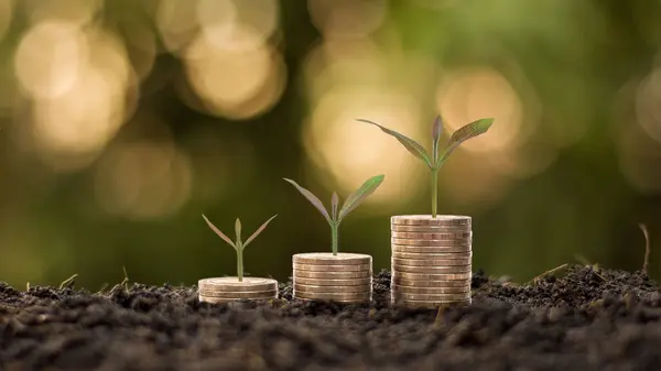 Geld Und Pflanzen Auf Münzen Anbauen Finanzierungs Und Investitionskonzept — Stockfoto