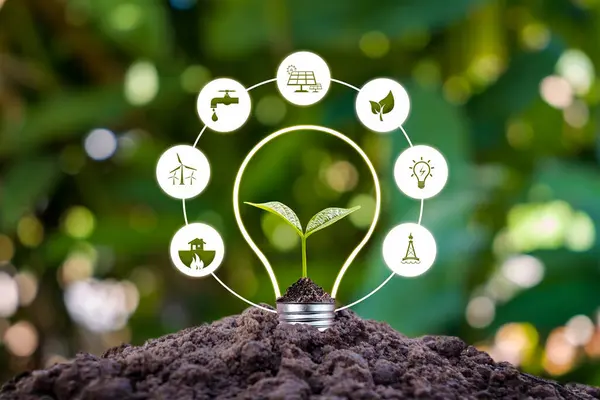 Tree Growing Ground Icons Related Green Energy Earth Day Concept — Stock Photo, Image
