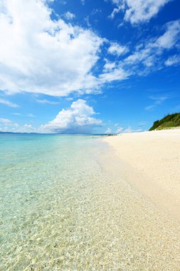 Muhteşem sahil summertime yılında