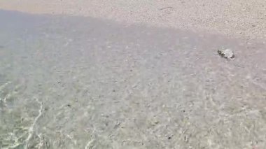 Güzel tropikal plaj sahne