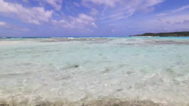 Mavi gökyüzü ve güzel dalgalarıyla deniz kenarında