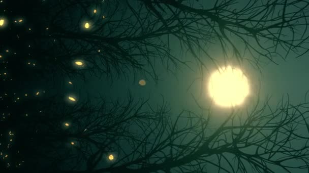 Raggi Chiaro Luna Illuminano Foglie Che Cadono Nella Foresta Autunnale — Video Stock