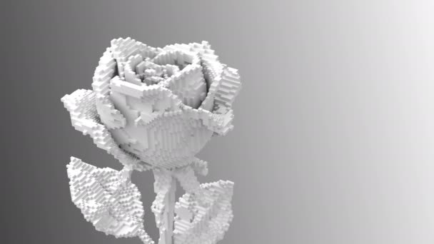 Digitale Blume Weiße Rose Zerfällt Pixel Animation — Stockvideo