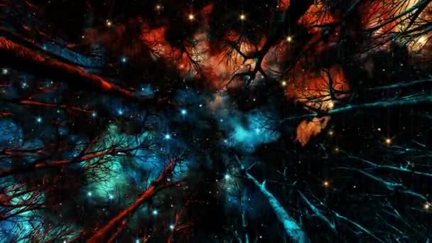Dolny Widok Drogę Mleczną Migoczące Gwiazdy Podczas Poruszania Się Lesie — Wideo stockowe