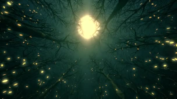 Raggi Chiaro Luna Illuminano Foglie Che Cadono Nella Foresta Autunnale — Video Stock
