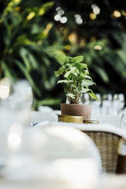 Geleneksel toplanma ve yeni yıl kutlaması için Noel yemeği masası ayarları