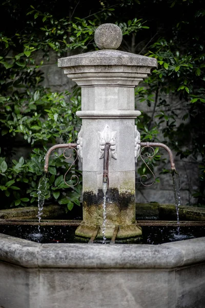 FOUNTAIN & SU Doğal güzellikte akmaktadır. Damlalara ve su elementlerine sakinleştirici enerji olarak yaklaş.