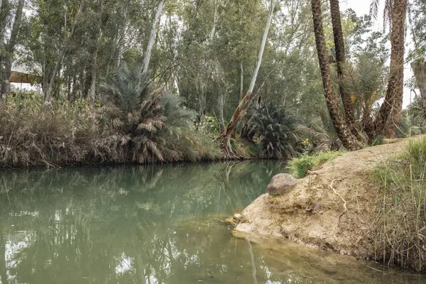 Photos Jordan Rvier Israel River Palm Trees Animals Area River — Stock Photo, Image