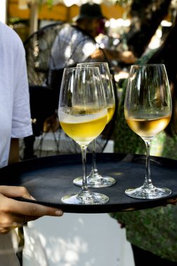 Martini bardaklarında servis edilen zarif turuncu-pembe kokteyller, kurutulmuş narenciye dilimleri ve mor çiçek yapraklarıyla süslenmiş, sıcak ve canlı bir barda yakalanmış..