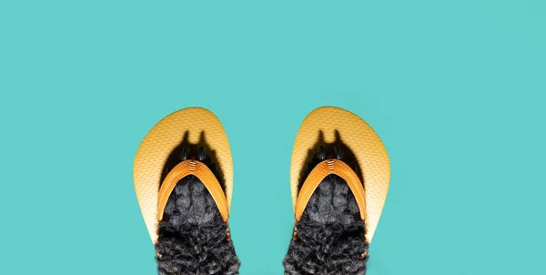 Banner puppy dog pet summer season. Black paws wearing yellow flip flops. Isolated on blue background
