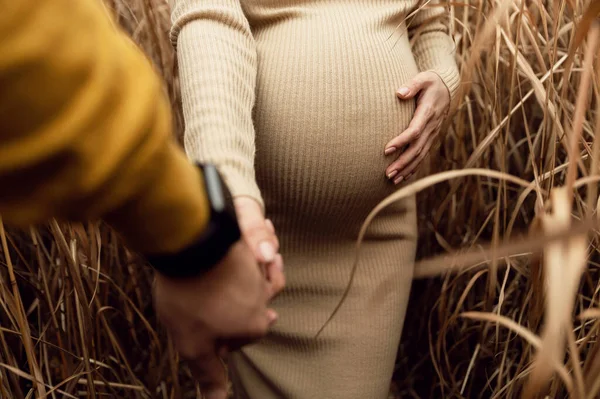 a pregnant woman touches her belly in pleasant anticipation of a walk. Close-up of a pregnant woman with hands on her stomach against the backdrop of nature. . The concept of pregnancy, motherhood, waiting for the birth of a child.