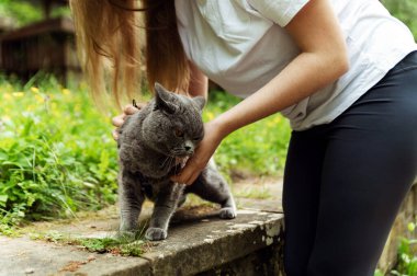 Kızın elleri kedinin tasmasını çözer. Kedinin tasmasını doğal olarak çıkarıyorum. Bir kız kediyle birlikte şehir ortamında yürüyor..