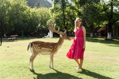 Bir kadın evcil hayvan çiftliğindeyken elinden mısır besliyor. Hayvan yedeği. Mutlu kadın bir geyiği okşuyor.