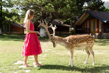 Hayvanat bahçesindeki genç bir kadın bir geyikle temas halinde. Hayvanat bahçesi. rezerve edilmiş bölge.