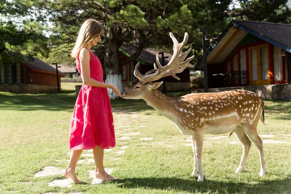 a young woman in a zoo is in contact with a deer. contact zoo. reserved territory.