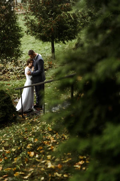 Jovem Noiva Agarra Suavemente Peito Noivo Dia Casamento Outono Time — Fotografia de Stock