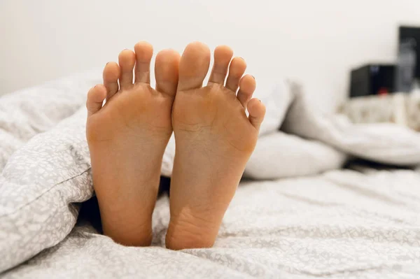 beautiful legs in bed. sexy legs of a girl lying in bed. feet under the blanket. skin problems on the legs. dermatology. family in bed. wonderful morning at home.feet in bed