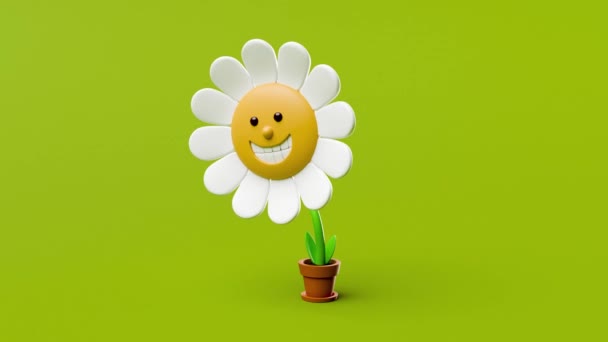 Χαριτωμένο Χαρούμενο Λουλούδι Κινουμένων Σχεδίων Μια Κατσαρόλα Ταλάντευση Στο Πράσινο — Αρχείο Βίντεο