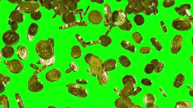 Dolar işaretli altın sikkeler yeşil arka planda izole edilmiş 3D çevrilebilir animasyon üzerine düşüyor