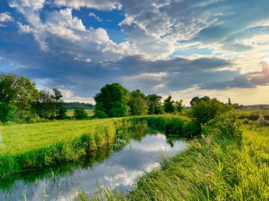 Nehirde yeşil çimenler ve ağaçlar olan yaz manzarası
