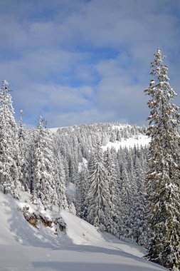 Karla kaplı dağların güzel manzarası. karla kaplı ağaçlar