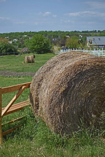 Bales Hay Rural Area Straw — Stock Photo, Image