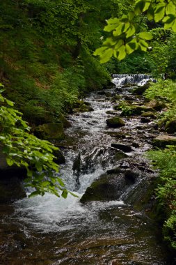 Güzel şelale, doğa arka planı. Ormandaki şelale. Karpatlar.