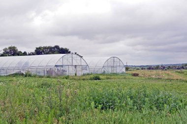 Arazinin ortasında bir sera