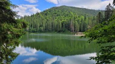 Yeşil ağaçları, ormanı ve gölü olan güzel dağ gölü.