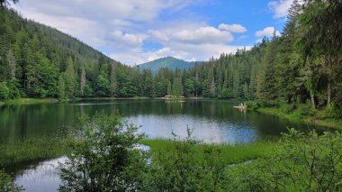 Ormandaki güzel göl.