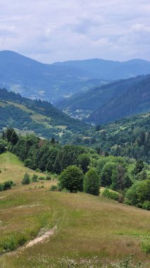 Karpatlar güzel manzara