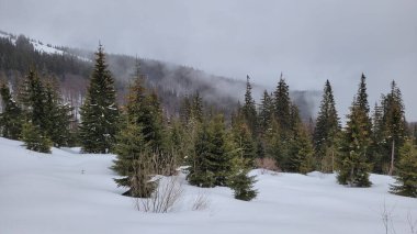 Güzel manzara. doğa arkaplanı