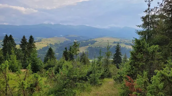Dağlarda dağları olan güzel bir manzara.