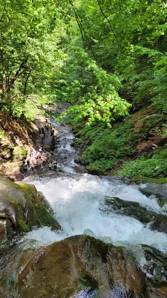 Ormanda güzel bir şelale