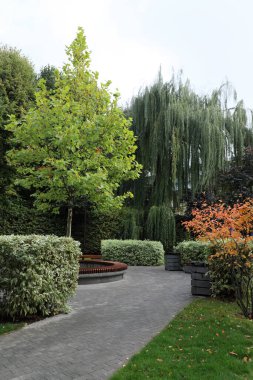 Parkta sonbahar. Şehir meydanı.