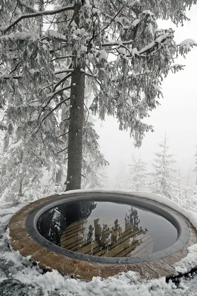 Karlı güzel kış ormanı, dağlar ve orman manzaralı fıçı.