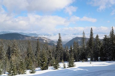 Karlı dağlarla kaplı kış manzarası. Dağlardaki orman.
