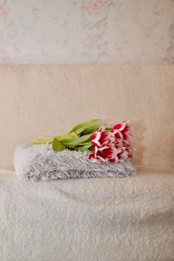 Kanepede uzanan yumuşak yastıktaki pembe laleler