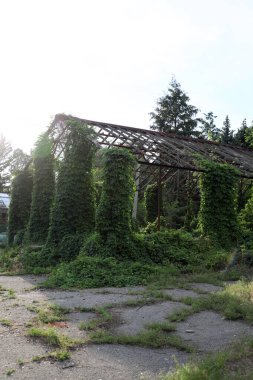 Bitkiler arasında metalden yapılmış terk edilmiş metal yapı